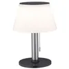 Image de Solar Lampe à poser LED 3-Step-Dim Lillesol IP44 3000K 45lm Acier inoxydable
