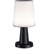 Image de Solar Lampe à poser LED Ilanga IP44 2700K 125lm Anthracite