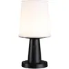 Image de Paulmann, Éclairage d'extérieur, Lampe de table solaire Ilanga (320 lm, IP44)