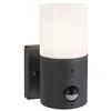 Image de Applique d'extérieur Tubs Détecteur de mouvement crépusculaire (IR) IP44 rond 105x130mm max. 15W 230V Gris dépoli Métal#Matière plastique