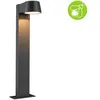 Image de Borne lumineuse LED Capea favorable aux insectes IP44 500mm 2200K 6W 450lm 230V 98° Anthracite Aluminium