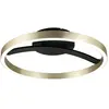 Image de Paulmann, Plafonnier, 94927 Melira LED-Deckenleuchte 24 W Schwarz (matt), Gold (1690 lm)
