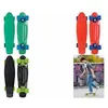 Image de SCHILDKRÖT Skateboard rétro Native Green