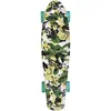 Image de Schildkröt, Skateboard, (22")