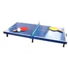 Image de Mini Table Donic-Schildkröt Tennis de table