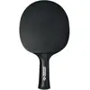 Image de Donic Schildkröt, Raquette de ping-pong