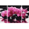 Image de Schipper - MNZ - Orchids (Triptychon)