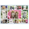 Image de Puzzle 100 Pièces : Chatons, Schmidt Spiele