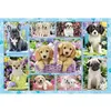 Image de Puzzle 200 Pieces Chiots - SCHMIDT AND SPIELE