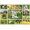 Image de SCHMIDT AND SPIELE Puzzle enfant - Bebe animaux a la ferme - 100 pcs