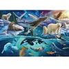 Image de Puzzle 150 pièces : Animaux de l'Arctique Schmidt