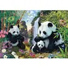 Image de Puzzle 500 pièces : La famille panda à la cascade Schmidt