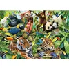 Image de Puzzle 1500 pièces : La diversité du monde animal Schmidt