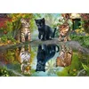 Image de Puzzle 1000 pièces : Rêvez en grand ! Schmidt