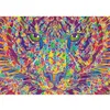 Image de Puzzle wild at heart tigre 2000 pieces - Schmidt