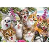 Image de Puzzle 500 pièces : Selfie de chats Schmidt
