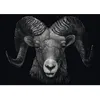 Image de Puzzle dominant le belier sous le signe du feu 1000 pieces - Schmidt