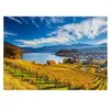 Image de Puzzle Schmidt - Vignobles, 2000 pièces