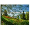 Image de Puzzle 1000 pièces - Tulipes en fleurs : Île de Mainau