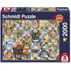 Image de Schmidt Spiele La Catrina (2000 pièces)