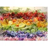 Image de Puzzle cocktail de fruits 1000 pieces - Schmidt