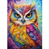 Image de Puzzle 1000 pièces : Le hibou-perroquet
