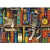 Image de Puzzle 1000 pièces : Frédéric le lettré Schmidt