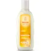 Image de Weleda Shampooing Régénérant à l'Avoine 190 ml