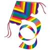 Image de GUNTHER - 1159 - JEU DE PLEIN AIR - CERF-VOLANT MONOFIL - RAINBOW EN POLYESTER RIPSTOP