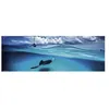 Image de Puzzle 1000 Pièces : Alexander von Humboldt : Stingray, Heye
