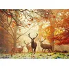 Image de Puzzle 1000 pièces : Forêt magique