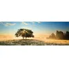 Image de Puzzle panoramique jeu de lumieres 1000 pieces - Matrix