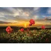 Image de Puzzle 1000 pièces : Cloudbeeries Heye
