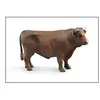 Image de Taureau - Brun