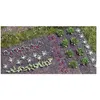 Image de Légumes, Salade Busch 1222 H0