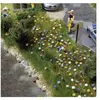 Image de Fleurs dété Busch 1229 H0