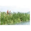 Image de Herbes et roseaux à massette Busch 1256 H0
