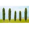 Image de Lot de cyprès