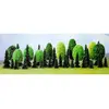 Image de Sachets d arbres assortis