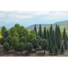 Image de Forêt de feuillus 50 arbres (n)