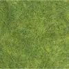 Image de Herbage vert printemps - uv x 5