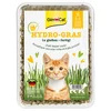 Image de 150g Hydro-Gras Herbe à chat GimCat - Herbe à chat