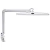 Image de Maul 84 led lampe à led intégrée, variateur dintensité, 3 parties séparées allumage, blanc lumière du jour avec pince à 6,3 cm