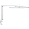 Image de Maul, Lampe de table, Lampe de poste de travail LED MAULexplore (2600 lm)