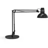 Image de Maul, Lampe de table, MAULSTUDY - Lampe de table (E27)