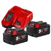 Image de Pack de batteries 18V M18 NRG-502 2x5Ah + chargeur - MILWAUKEE TOOL - 4933459217