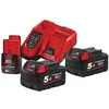Image de Pack 2 Batteries 18 Volts - Milwaukee