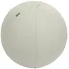 Image de Leitz, Ballon de gymnastique, (55 cm)