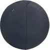 Image de Leitz, Ballon de gymnastique, (55 cm)