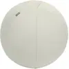 Image de Leitz, Ballon de gymnastique, (65 cm)